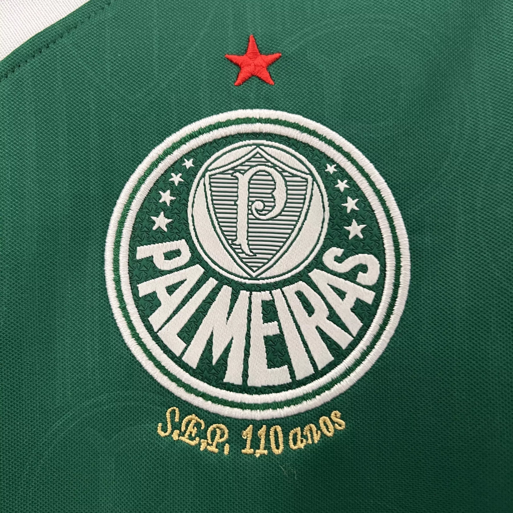 Camisa Palmeiras 2024/25 I Home - Torcedor Feminina